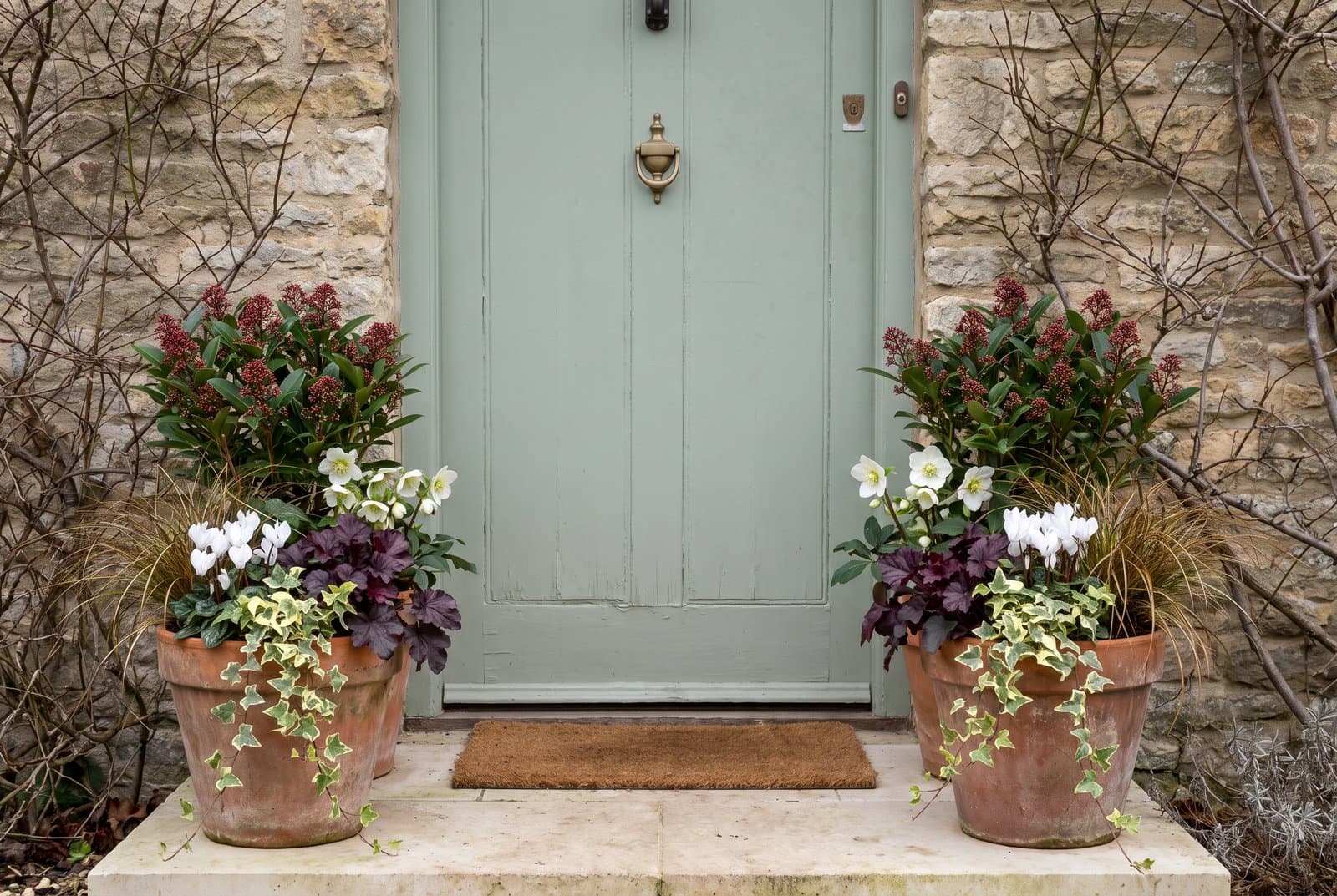 Concept visual of a sage green front door in a stone wall, with a pair of terracotta pots on a pale stone step, each planted with red-budded skimmia, white hellebores, white cyclamen, dark purple heuchera, a bronze sedge and trailing cream and green ivy